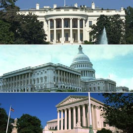 3-branches-of-gov